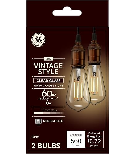 GE Lighting Vintage Style LED Tube Light Bulb, 6.5 Watts (40 Watt
